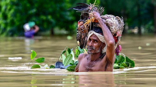 ছবি :সংগৃহীত